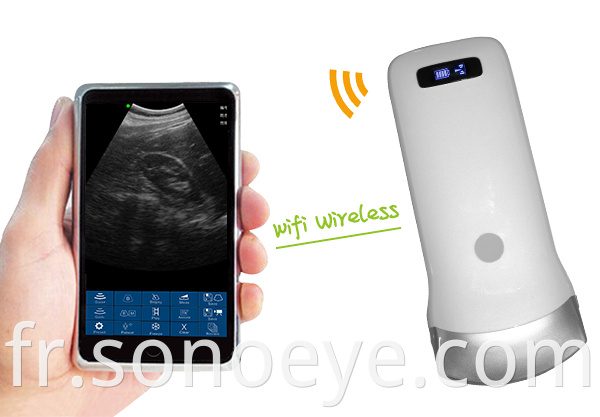 Mini Convex Ultrasound probe